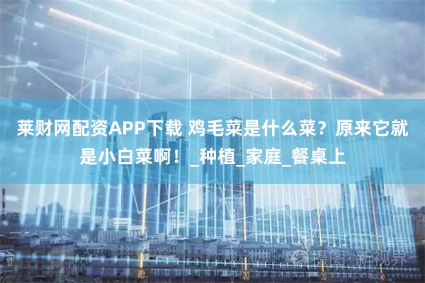 莱财网配资APP下载 鸡毛菜是什么菜？原来它就是小白菜啊！_种植_家庭_餐桌上